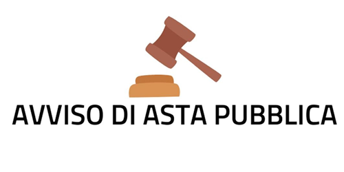 Avviso asta pubblica Alienazione appartamento sito in Torino - Via Goffredo Casalis n. 49